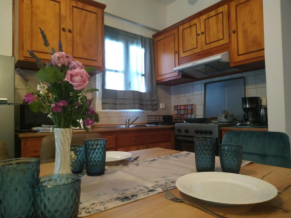 Anemone Bleu-Sea View-200M From Chora Pedestrian Apartment Andros Town Bagian luar foto