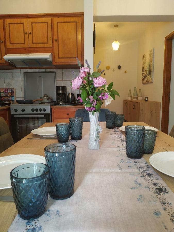 Anemone Bleu-Sea View-200M From Chora Pedestrian Apartment Andros Town Bagian luar foto