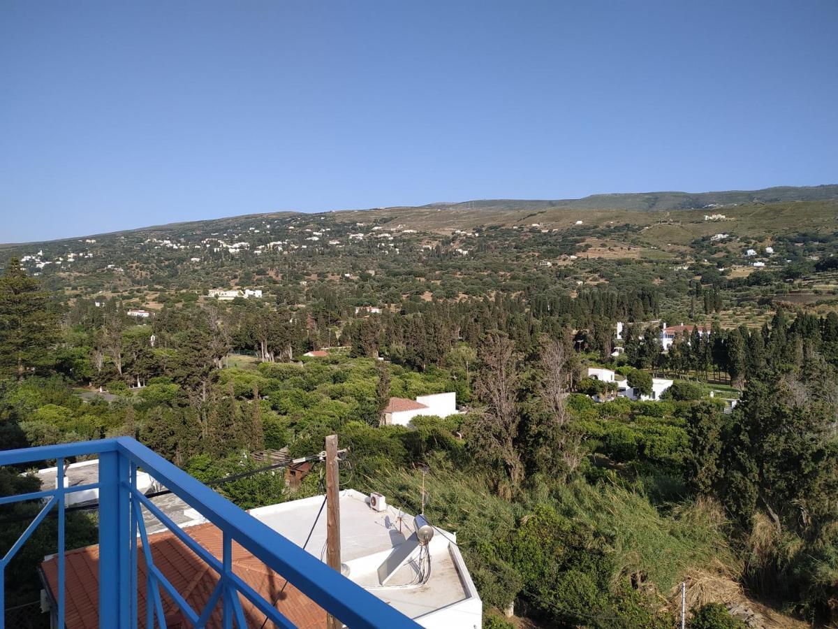 Anemone Bleu-Sea View-200M From Chora Pedestrian Apartment Andros Town Bagian luar foto